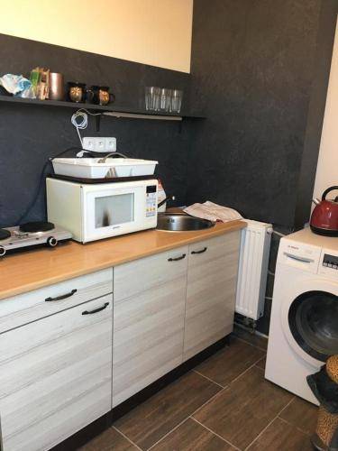 Apartmán Plasy