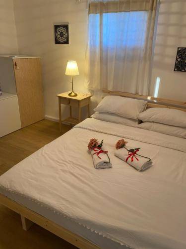 foto3