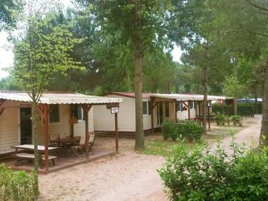 Camper/Roulotte Cavallino