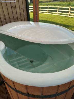 House Pool Burton Leonard