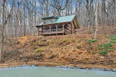 Cabin  Roanoke