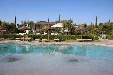 Appartement Cecina