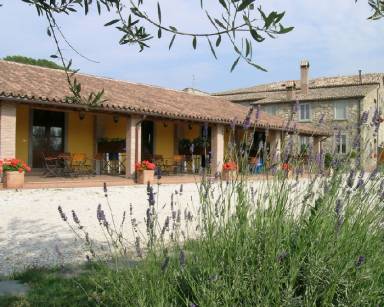 Appartamento Gradoli