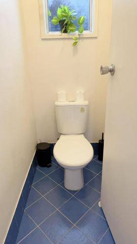 foto16