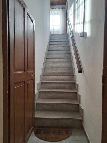 foto8