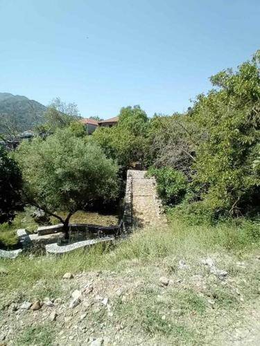 foto16