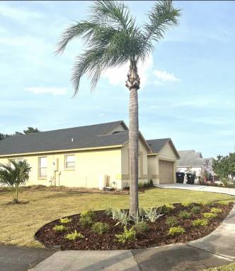 House Orlovista