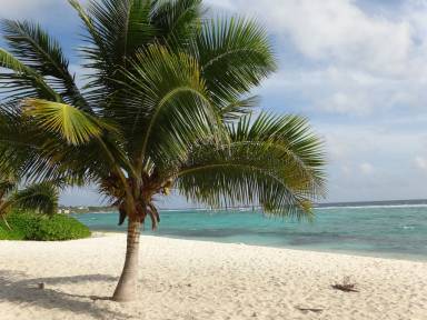 Condo Bodden Town