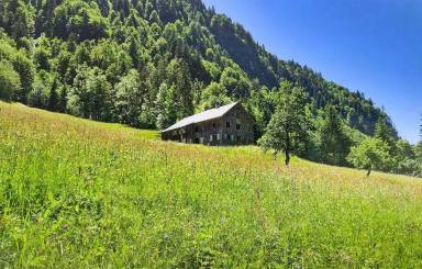 House  Boden-Flecken