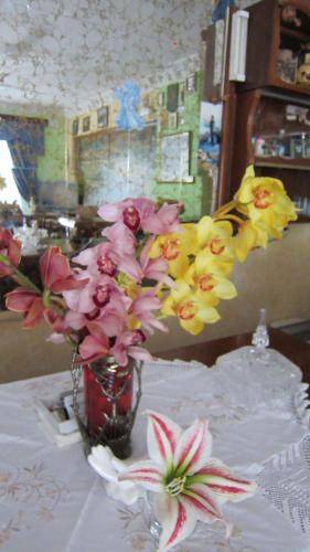 foto7