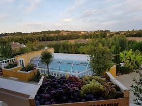 Family-friendly house with yard, terrace & barbecue | Panoramic view | Pet-friendly — photo 4