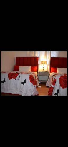 foto6