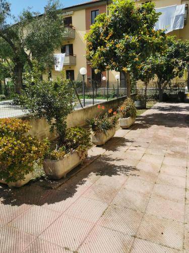 Appartamento Ascea