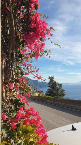 Huoneisto  Amalfi