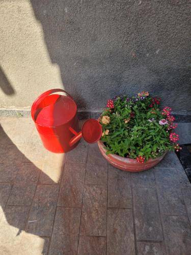 foto14