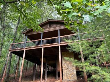 Cabin  Suches