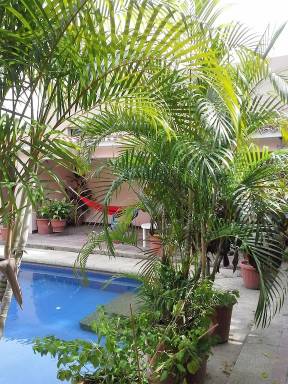 House  Parroquia Sucre