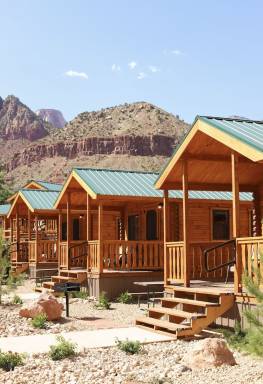Cabin Springdale