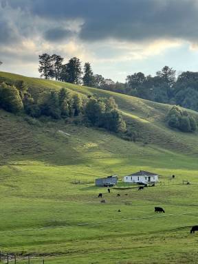 Cabin  Bald Mountain