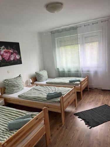 foto5