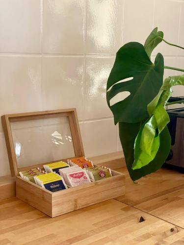 Appartement Hochheim am Main