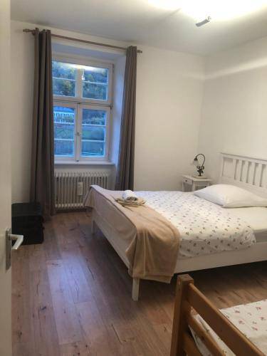 foto12