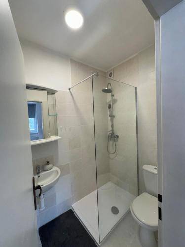 Apartmán  Drietoma