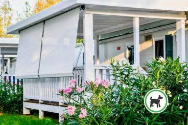 Campeggio 21 m²