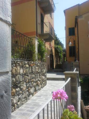 Sole Terra Mare — photo 4