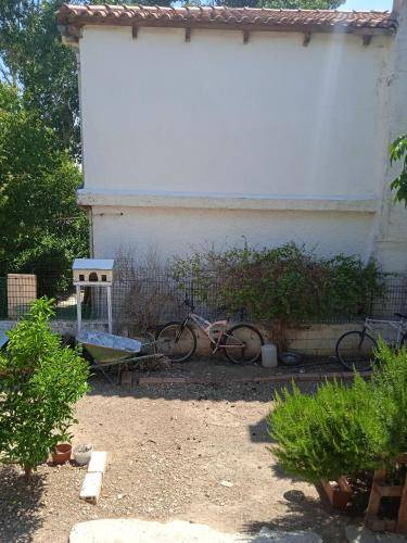 foto19