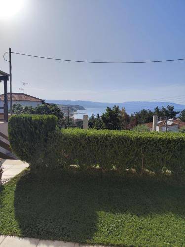 foto16