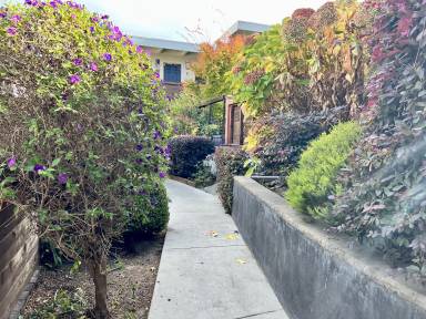 Apartment Redwood Shores