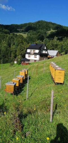 Dom Beskidy