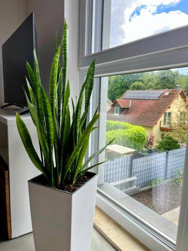 Ferienwohnung Geisenheim