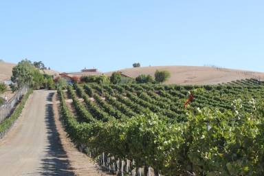 House Paso Robles
