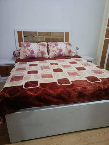 foto11