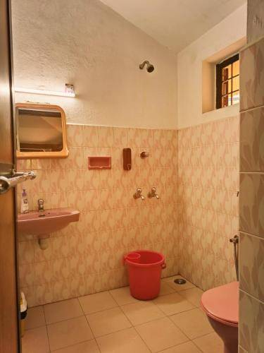 foto11