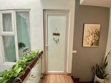 House Hải Bối