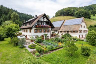 Apartment  Bad Peterstal-Griesbach
