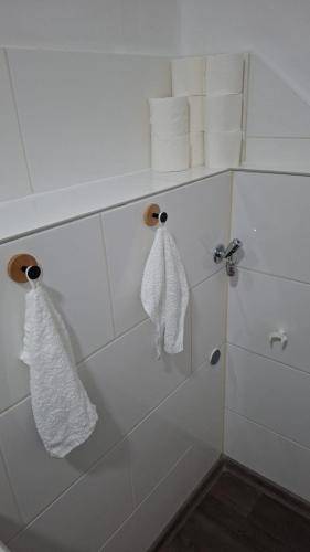 foto19