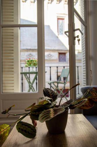 Appartement  Niort