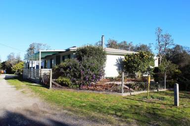House Yard Golden Beach