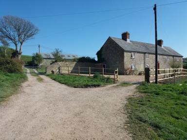 House  Niton