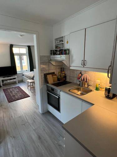 Apartmán Trondheim