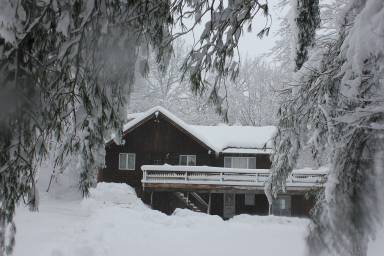 Cabin  Killington