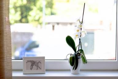 Bed & Breakfast Haarlem