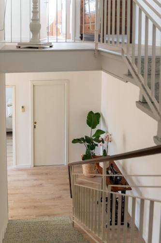Bed & Breakfast Legnaro