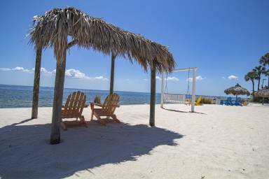 Condo Northwest Tampa