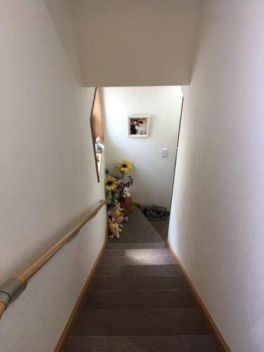 foto10