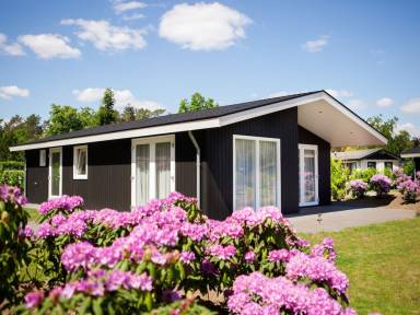 Chalet 80 m²